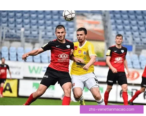 布德约维茨迪纳摩主场不敌薛斯高夫全场失利分析